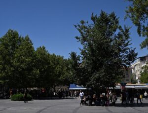 5 Kentte Kavurucu Sıcaklık Hayatı Olumsuz Etkiliyor