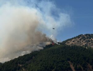 Adıyaman Sincik’te orman yangınına havadan ve karadan müdahale