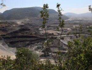 Akbelen’de acele kamulaştırma davalarında tarihi karar: Danıştay süreci bekleniyor