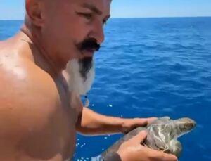 Alanya’da Çuvala Dolanan Deniz Kaplumbağası Kurtarıldı