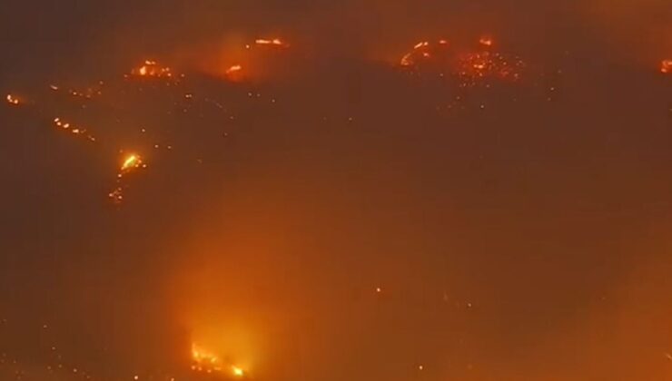 Alanya’da orman yangını