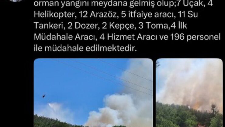 Balıkesir Susurluk’ta orman yangını