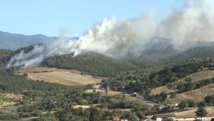 Çanakkale’de, Bayramiç’te de orman yangını çıktı