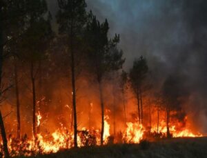 Cehennemi yaşayan Fransa’ya Türkiye’den yardım eli
