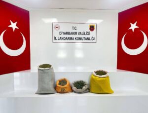 Diyarbakır’da uyuşturucu operasyonu: 35 gözaltı