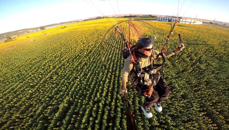Edirne’nin ‘sarı gelin’i ayçiçeği tarlaları üzerinde paramotorla uçtu