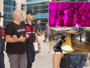 Gözaltındaki ünlü yönetmen Ezel Akay hakkında karar