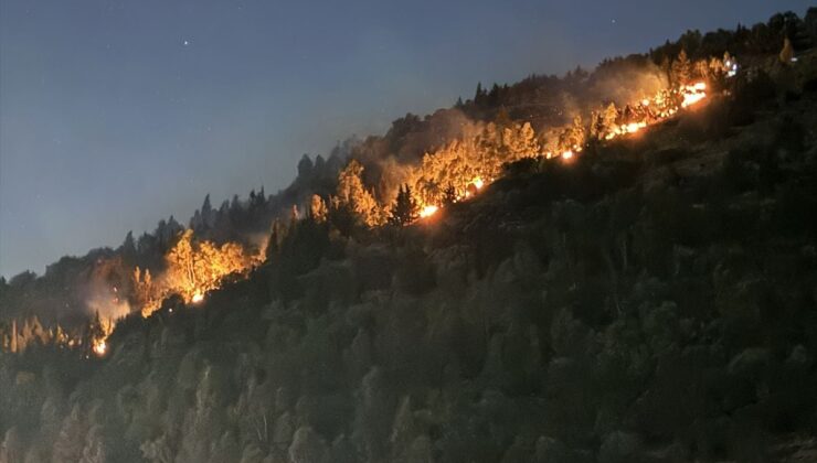 İzmir’de ormanlık alanda çıkan yangına müdahale ediliyor
