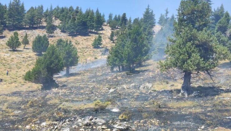 Kahramanmaraş’ta iki ilçede çıkan orman yangınları kontrol altına alındı