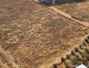Kepez’de Zeytin Bahçesi ve Tarım Arazilerinde Yangın