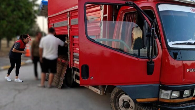 Kırklareli’ne kaçak yolla büyükbaş hayvan getiren kişiye 175 bin lira ceza kesildi