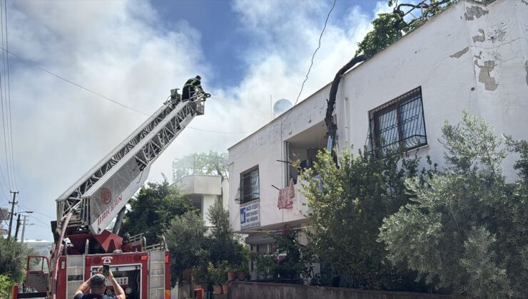 Kümesteki yangın güvercinlerini kurtarmak isteyen kişiyi yaraladı