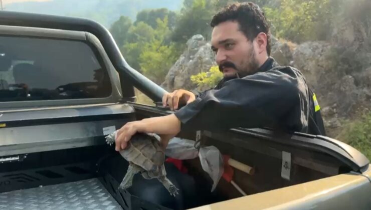 Kumluca’da orman yangını