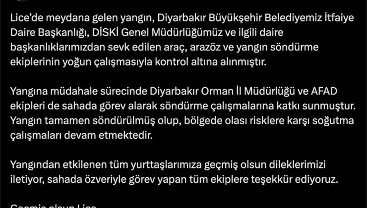 Lice’deki Yangın Kontrol Altına Alındı