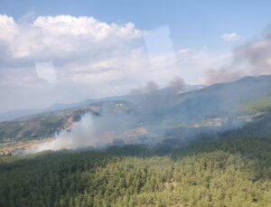 Muğla’da tarım arazisinde çıkan yangın ormana sıçradı