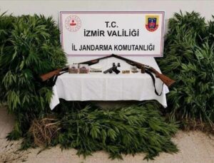 Ödemiş’te Ormanda Kenevir Operasyonu: Şüpheli Tutuklandı