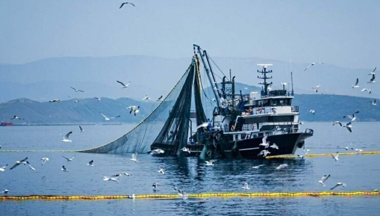 Prof. Dr. Yaşar: Ne kadar çok yağmur yağarsa o yıl o kadar çok balık avı olur