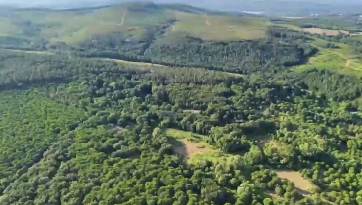 Sultanbeyli’de dron destekli orman denetimi; 513 kişiye 1,9 milyon lira ceza