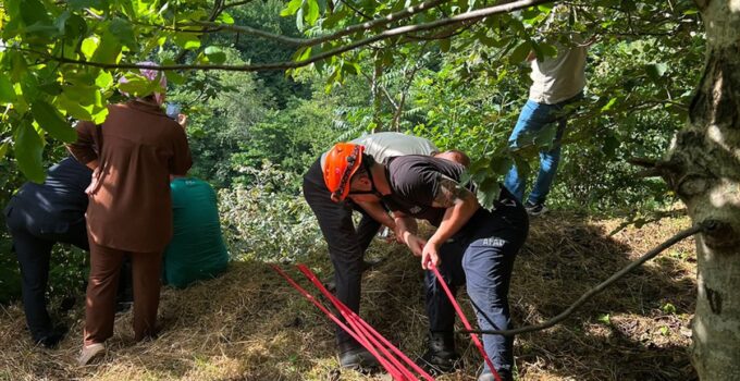 Trabzon’da yamaçtan yuvarlanan inek kurtarıldı