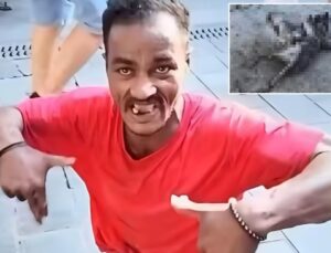 Üsküdar’da dehşet! Falçatalı cani martıyı ağır yaraladı