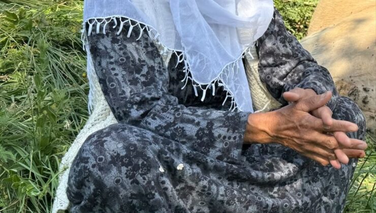Yüksekova’da 7 çocuk annesi kadının ineği uçurumdan yuvarlandı: Büyük üzüntü