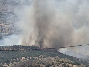 Adıyaman Gerger’de Orman Yangını