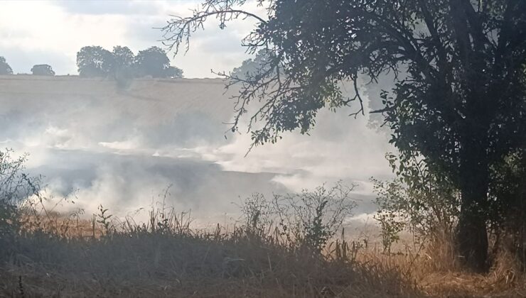 Bilecik’te Ekin Tarlasında Yangın