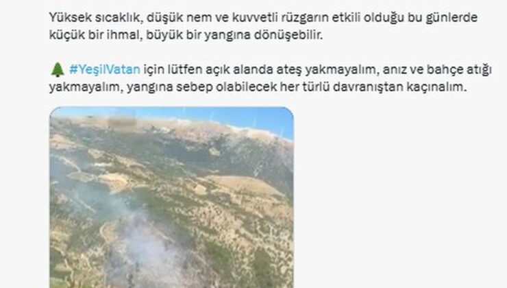 Bursa ve İzmir’deki orman yangınları kontrol altına alındı