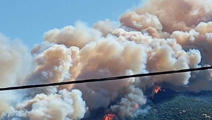 Çanakkale’de 2 Ayda 44 Orman Yangını: 541 Hektar Zarar