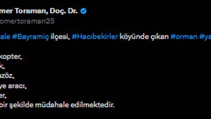 Çanakkale’de orman yangını