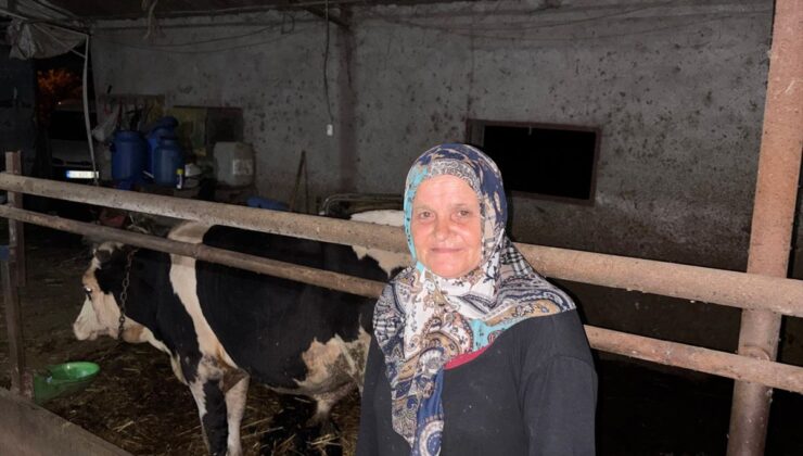Danayı kuyruğunu keserek yaralayan şüpheli gözaltında
