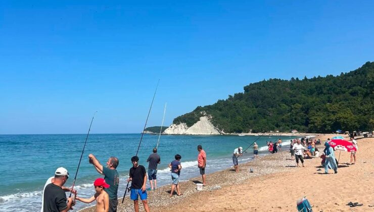 Deniz Suyu Soğuyunca İstavrit Kıyıya Yaklaştı