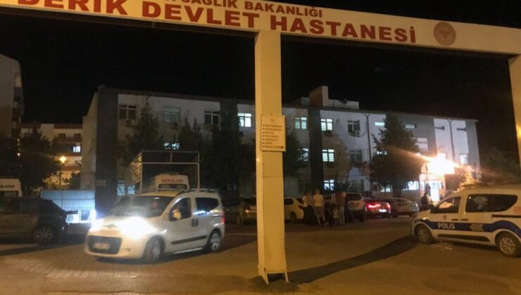 Derik’te Dereye Düşen 3 Yaşındaki Çocuk Hayatını Kaybetti