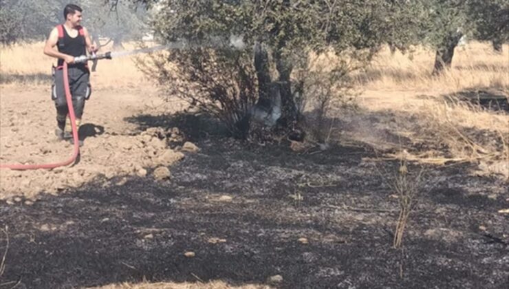 Edremit’te çöplük yangını zeytinliğe sıçradı