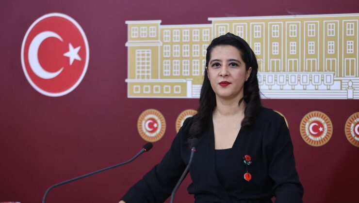 EMEP’li Karaca, Madran Dağı yangınını TBMM’ye taşıdı: 5 bakana soru önergesi