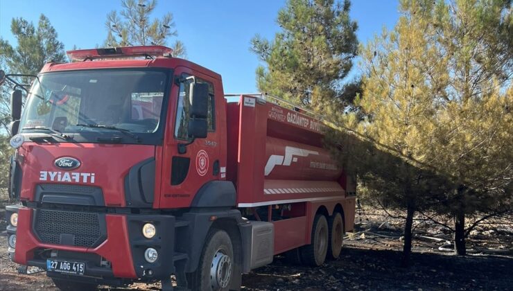 Gaziantep’te orman yangını kontrol altına alındı
