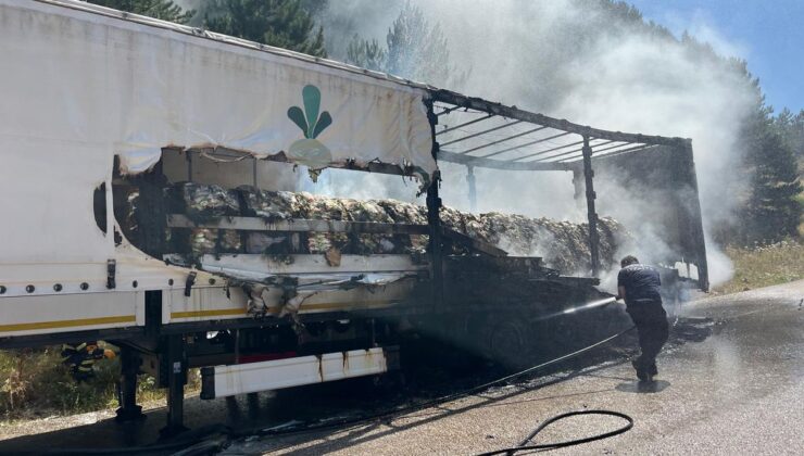 Gerede’de Şeker Yüklü TIR’da Yangın: Alevler Ağaçlara Sıçradı