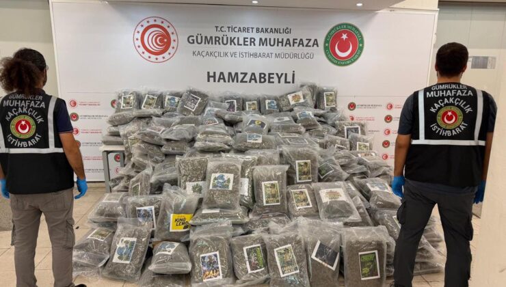 Hamzabeyli Sınır Kapısı’nda TIR’da 287 kilo 910 gram esrar ele geçirildi