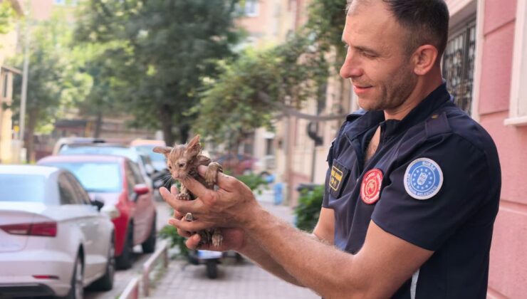 İnegöl’de Yağmur Borusuna Sıkışan Yavru Kedi Kurtarıldı