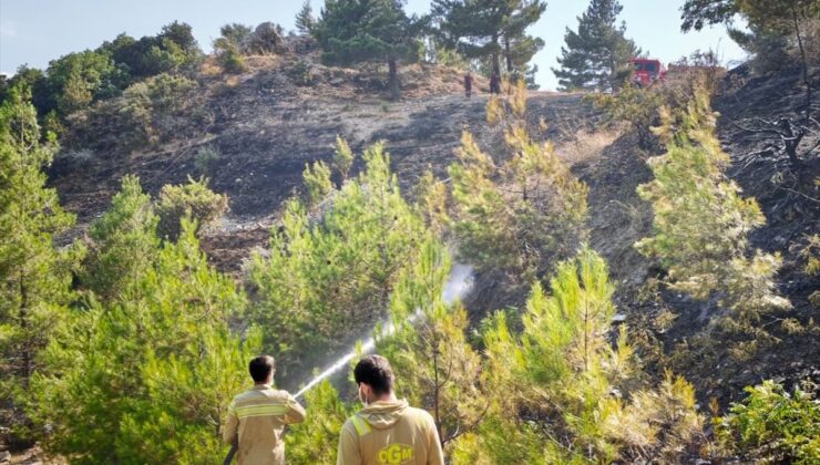 Kahramanmaraş’ta orman yangını kontrol altına alındı
