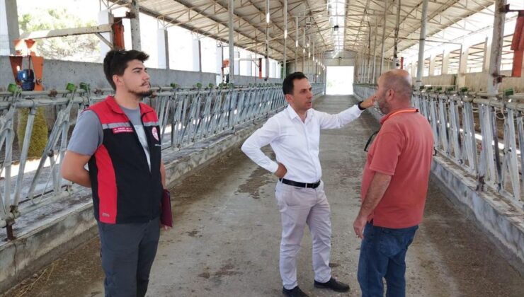 Kargı’da Damızlık Sığır İthalatı İçin İşletme Denetimi
