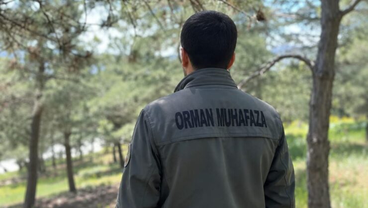 KDK’dan, diyabet hastası orman muhafaza memuru için ‘açık arazide çalışmasın’ tavsiye kararı