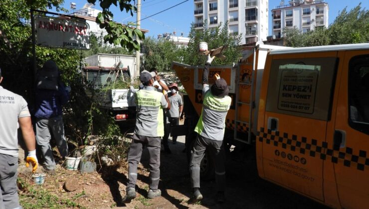 Kepez’de Evden 5 Kamyon Çöp Çıktı