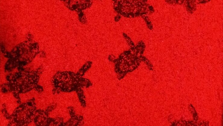 Kuşadası’nda 60 caretta caretta yavrusu denize kavuştu