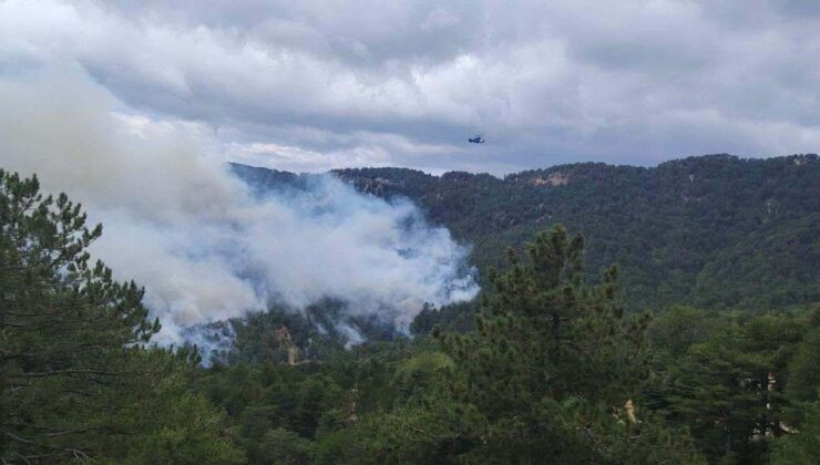 Manavgat’taki orman yangını 22 saat sonra kontrol altına alındı