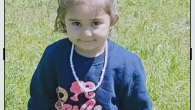 Mardin’de dereye düşerek ölen Eslem defnedildi