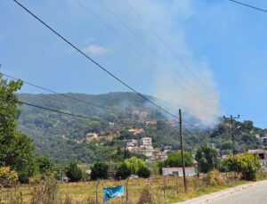 Marmara Adası’nda orman yangını