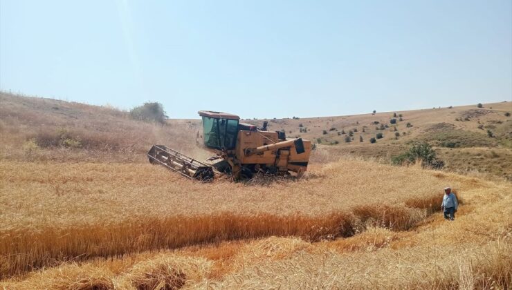 Merzifon’da biçerdöver denetimleri sürüyor