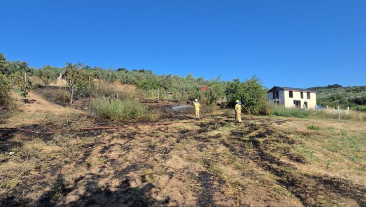 Mudanya’da Zeytin ve İncir Arazisinde Yangın