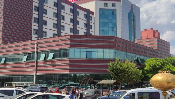 Serada ilaçlama faciası: 9 işçi hastanelik oldu